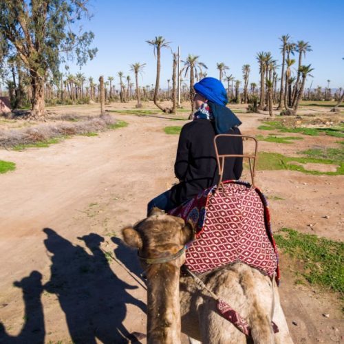 Ridding Camels Marrakech by Nomadexcursion.com